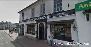 Torquay United fans banned from their own pub after Exeter City 'ambush' - Devon Live