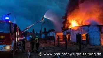Waldbrände lodern in Brandenburg und Sachsen