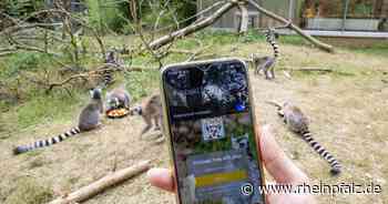 Im Siegelbacher Zoo ab sofort freies W-Lan - Rheinpfalz.de