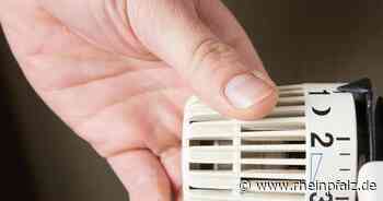 Energieagentur hilft Kommunen beim Sparen - Rheinpfalz.de