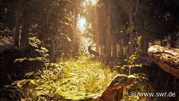 „Im Wald“ - sehenswerte Ausstellung über die Kulturgeschichte des Pfälzerwaldes in Kaiserslautern - SWR