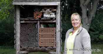 Insektenhotels: Das rät die Pflanzendoktorin - Rheinpfalz.de