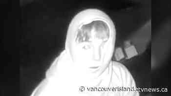 Comox Valley RCMP investigate 'completely absurd' mischief | CTV News - CTV News VI