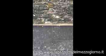 EMILIA-ROMAGNA - Modena, temporale e grandine a La Santona - La Gazzetta del Mezzogiorno