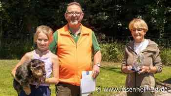 Wie Franzi (11) und Dackel Sissi die Begleithund-Prüfung bestanden haben