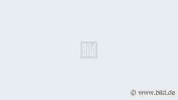 Friedhof Mechernich: Unbekannte Leiche aufgetaucht | Regional - BILD