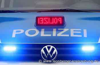 Polizeibericht aus Leonberg - Einbrecher auf frischer Tat ertappt - Leonberger Kreiszeitung