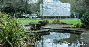 Four 13-year-olds arrested after boy 'assaulted' in Sherborne park - Dorset Live