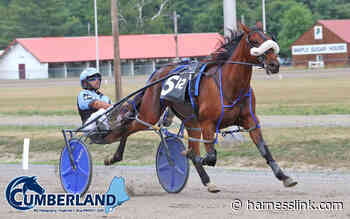 Stong two-year-olds send off Cumberland meet - Harnesslink