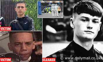 Arsenal scout's son, 20, is cleared of murdering two 16-year-olds after saying it was self-defence - Daily Mail