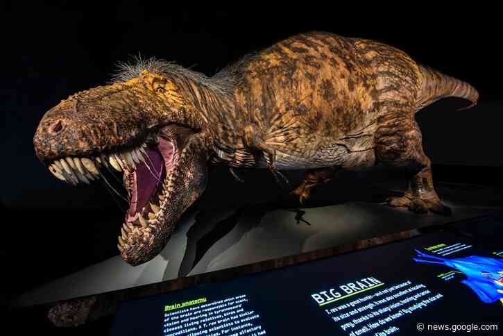 “Bold Theory” That T. rex Was 3 Species Rebutted – “Tyrannosaurus rex Remains the One True King of the Dinosaurs” - SciTechDaily