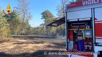 Trecate: vasto incendio nel parco del Ticino di San Martino - Quotidiano Piemontese