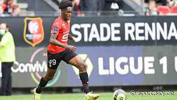 FC Bayern: Mathys Tel verabschiedet sich von Stade Rennes - Sky Sport