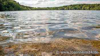 Frau (76) wird an Waldsee ohnmächtig und taucht mit Kopf unter Wasser