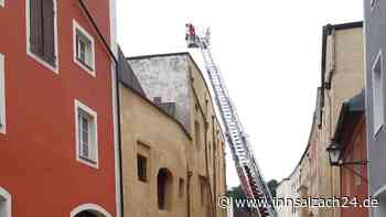 Tittmoning: Rettungsaktion für „Falkenbaby“ – Jungtier war aus dem Nest gefallen - innsalzach24.de