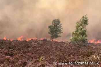 Fire chiefs urge UK cities to prepare for wildfires - Ealing Times