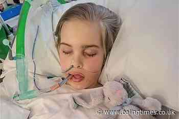 Archie Battersbee's parents set to take treatment fight to European court - Ealing Times