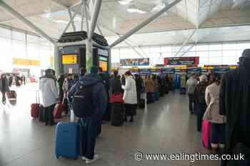 At least 40 of airport workers 'thinking about quitting' – survey - Ealing Times
