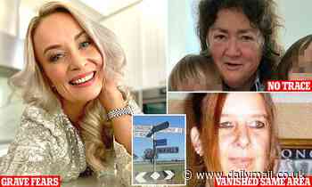 Family to hire private investigator to help solve mystery Adelaide disappearance of Colleen South - Daily Mail