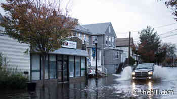 Congress must act to solve an urgent crisis on our coasts - The Hill