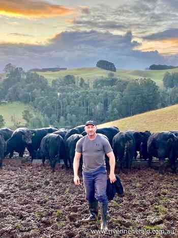 Absolute Angus moves north - Riverine Herald