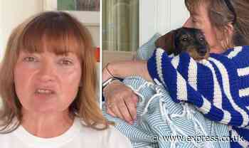 Lorraine Kelly opens up about 'loneliness' at home 'All I wanted was a hug' - Express