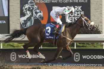 Moira puts on quite a show in winning $500000 Woodbine Oaks - Dawson Creek Mirror