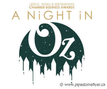 Leduc, Nisku and Wetaskiwin Regional Chamber of Commerce announces business award finalists - Pipestone Flyer