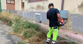 Messina, scerbatura nelle vie dove passano i crocieristi: strade interessate e divieti di sosta - Normanno.com