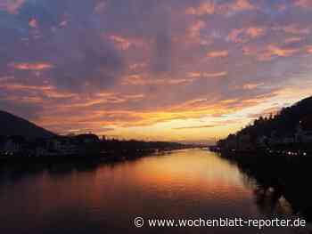 "Heidelberg Talks Online" des DAAD-Freundeskreises: Perspektivwechsel statt Elfenbeinturm - Wochenblatt-Reporter