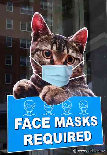 Finding reasons to smile as we grin and bear it - Otago Daily Times