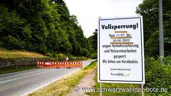 Sperrung Bundesstraße 463: Trotz Umleitung: Lage "erstaunlich ruhig"