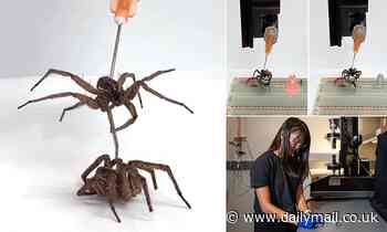 Scientists transform dead spiders into 'necrobots' that can serve as mechanical grippers 