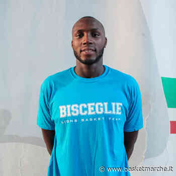 Vigor Matelica, per lo spot di ala-forte interesse concreto per Emmanuel Enihe - Serie B - Basketmarche.it