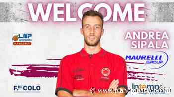 Serie B - La Libertas Livorno annuncia l'ala piccola Andrea Sipala - Pianetabasket.com