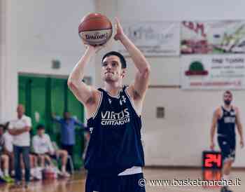 Ufficiale, la Virtus Civitanova conferma l'ala Marco Vallasciani - Serie C Gold - Basketmarche.it