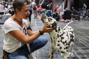 Wer ist der Schönste im ganzen Land? - freiepresse.de