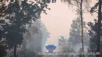 Waldbrände wüten weiter in Brandenburg und Sachsen