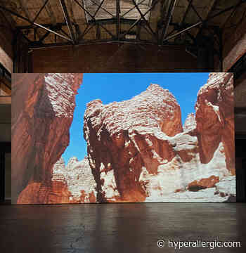 Artists, Access, And Authority