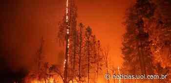 Incêndio avança na Califórnia; quase 7 mil hectares já foram queimados - UOL Confere
