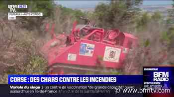 En Corse, des chars sont utilisés pour lutter contre les incendies - BFMTV