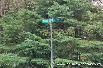 Kimberley house party prompts review of short-term rental rules - CollingwoodToday.ca