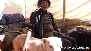 WA government accused of failing at-risk Kimberley students over plans to address school truancy - ABC News