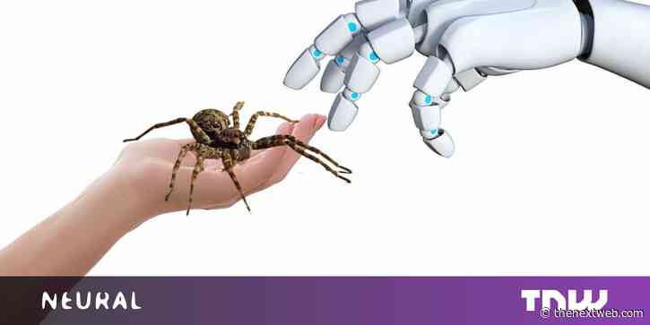 Scientists turn dead spiders into robots able to grip small objects