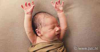 Ouders balen: Anna-Rosa is net een maand te vroeg geboren om dubbele achternaam te mogen - PZC