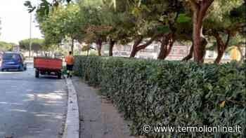 Termoli: Via America, finalmente pulizia - Termoli Online