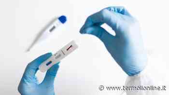 Termoli, Isernia, Campobasso: Covid: in Molise 455 guariti e 436 contagi - Termoli Online