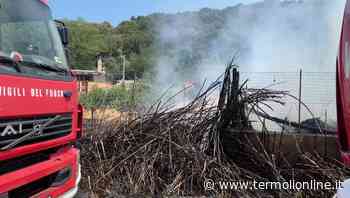 Termoli: Paura in via Mincio, divampa incendio - Termoli Online