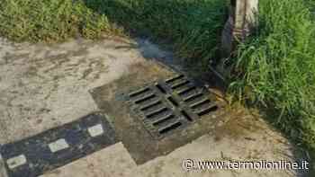 Termoli: Fontanella che perde - Termoli Online