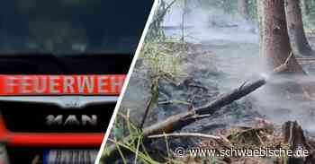 Lindau: Waldstück bei Hörbolzmühle fängt an zu brennen - Schwäbische